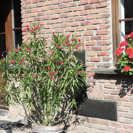 Simplistic In Nadrin With Garden Feriehus